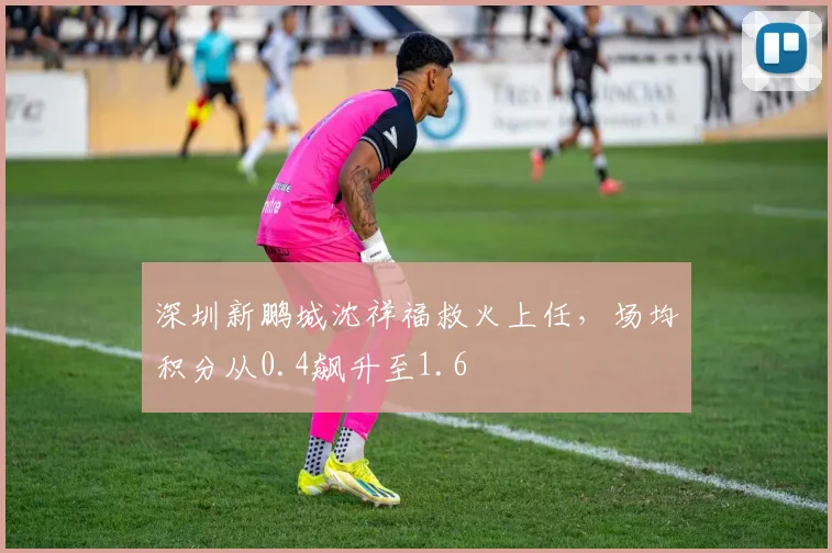 深圳新鹏城沈祥福救火上任，场均积分从0.4飙升至1.6